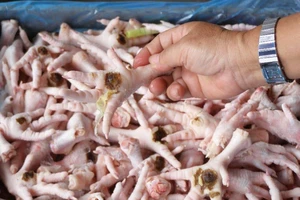 Chân gà Ba Lan liệu có tràn ra... quán nhậu?