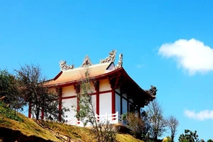 Đại đức từng là Bộ đội Cụ Hồ trồng 100 cây bàng vuông ở chùa 