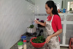 Sinh viên kẹt ở quê nóng lòng được trở lại TP. HCM học tập 