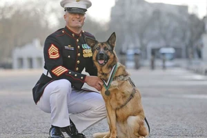 Chó đặc nhiệm Mỹ nhận huân chương cao quý nhất quân đội Anh