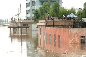 Lần hiếm hoi Triều Tiên công khai kêu gọi cứu trợ lũ lụt