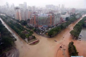 Siêu bão Meranti vùi dập Phúc Kiến, Trung Quốc