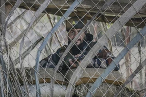 Ấn Độ, Pakistan đấu súng tại Kashmir