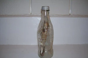 Thông điệp ở trong chai tìm về chủ cũ sau 57 năm