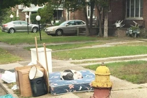 Chú chó bị bỏ rơi cả tháng không rời tấm nệm có mùi chủ