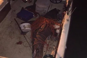 Ông lão đánh cá và con cá....mập nhảy lên thuyền 