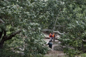 Cắm trại mùa hè gặp lũ quét bất ngờ, 10 người chết