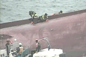 Tàu cá Trung Quốc tông tàu dầu Hong Kong, 12 người chết