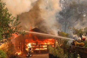 Cháy rừng California, 10 người chết