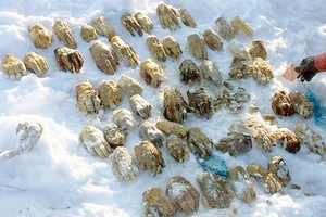 Phát hiện bao tải chứa 54 bàn tay