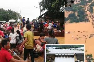 Chuyên gia: Phải rà soát lại tất cả dự án thủy điện ở Lào!