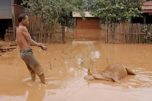 Lụt ở Lào bắt đầu rút nhưng nước sông Mekong dâng báo động