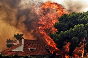 Họ để mặc chúng tôi bị thiêu như chuột!