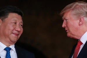 Hai ông Trump-Tập có thể gặp nhau tháng 11 tháo gỡ thương mại