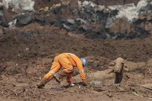 Vỡ đập Brazil: 5 kỹ sư bị bắt, số người chết tăng lên 84