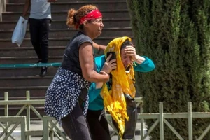 Chiếc Boeing 737 Max 8 rơi ở Ethiopia chở công dân 33 nước