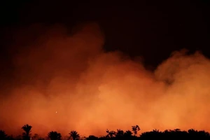 Đau xót cảnh rừng Amazon trước đây và đang bị lửa nuốt dần