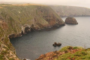 Cháy tàu ở California, 34 người chết