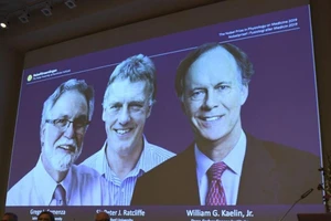 Nobel Y học 2019: Vinh danh phát hiện tế bào thích nghi ôxy