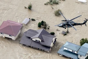 Bão Hagibis: Thương vong tiếp tục tăng, binh sĩ nỗ lực cứu dân