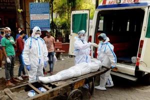 Hàng loạt tổng thống, thủ tướng nhận giải Ig Nobel 2020