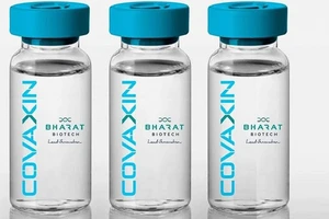 WHO ngưng cung cấp vaccine Covaxin của Ấn Độ