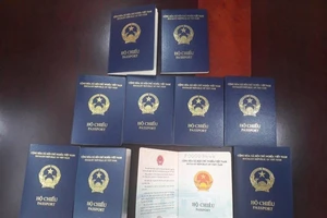 Đức tạm chưa cấp thị thực mẫu hộ chiếu bìa tím xanh của Việt Nam vì thiếu nơi sinh 