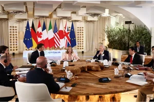 Loạt chính trị gia NATO lo ông Biden không đấu nổi ông Trump