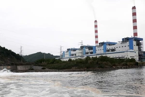 Nhiều nhà máy nhiệt điện lo đóng cửa vì thiếu than