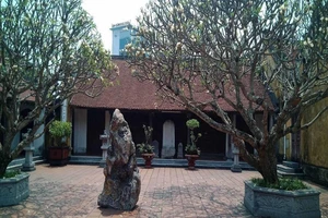 Người đi chùa tố bị sư trụ trì doạ... thả chó cắn nát mặt