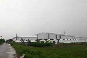 Bắt 2 cựu chủ tịch xã vì liên quan đến sai phạm đất đai