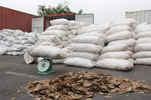 Hơn 8 tấn vảy tê tê nhập lậu vào cảng Hải Phòng