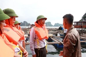 Bão số 2: Quảng Ninh dừng tất cả cuộc họp