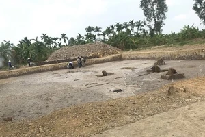 Phát hiện bãi cọc Bạch Đằng thời Trần tại Hải Phòng