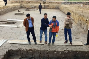 Bãi cọc Bạch Đằng được phát hiện từ nhiều năm trước