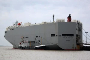 Khử trùng toàn bộ tàu biển chở ô tô có thuyền trưởng tử vong