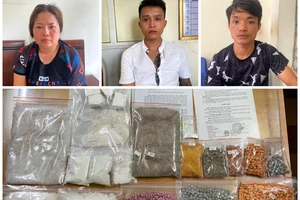 Bắt 1 phụ nữ cầm đầu đường dây ma túy ở Hải Phòng 