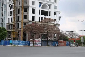 Công trình cao tầng mọc lên, nhiều cây xanh chết bất thường