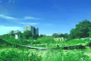 Hải Phòng mạnh tay với dự án động thổ rồi bỏ hoang 