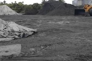 Lực lượng chức năng xác định đường dây khai thác than trái phép quy mô cực lớn ở Quảng Ninh.