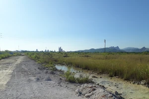 Cò đất thổi giá, gây sốt ảo tại TP Hạ Long 