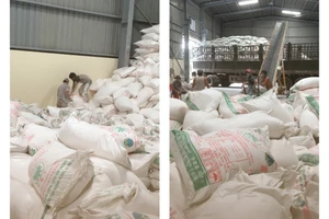 Phát hiện 100 tấn tinh bột sắn có dấu hiệu giả mạo nguồn gốc