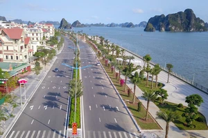 Đề nghị truy tố chủ doanh nghiệp bán hóa đơn khống để hợp thức hóa cát lậu 