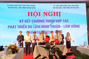 Hợp tác phát triển du lịch giữa rừng và biển