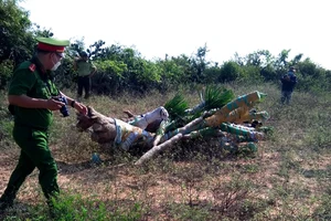 Ninh Thuận: Nhân viên Ban quản lý rừng bị lâm tặc đánh gãy xương hàm