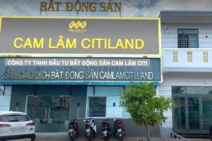 Khánh Hòa: 3 công ty bất động sản bị phạt 420 triệu đồng