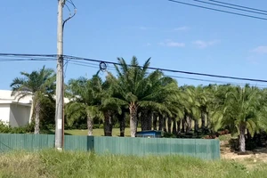 Dự án Cam Ranh Bayana Resort thi công sai phép 