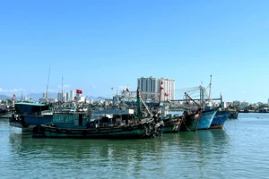 Khánh Hòa đưa 19 tàu cá vào diện ‘mất tích’