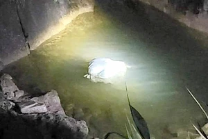 Khánh Hòa: Tìm tung tích thi thể trong bao tải trên đèo Khánh Lê