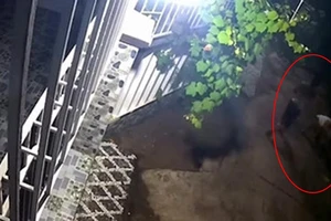 Bắt nghi phạm chém người tử vong ở Khánh Hòa